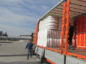 Austria Cargo Inspections